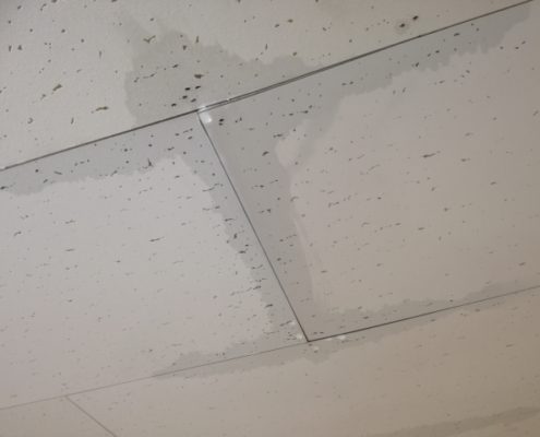 天井・壁からの雨漏り