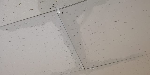 天井・壁からの雨漏り